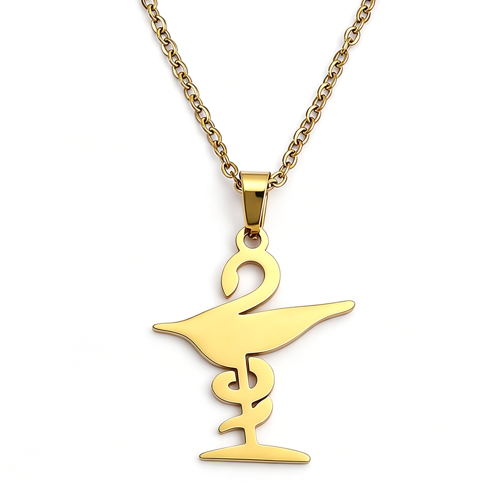 히게이아 볼 모양 목걸이, 약사의 상징인 뱀 지팡이 펜 - Steel Chain 리뷰 및 가격